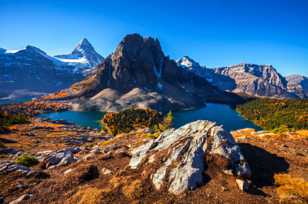 Mt. Assiniboine and Wedgewood Peak-1179 Mt. Assiniboine and Wedgewood Peak-1179